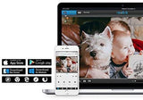 Reolink 5MP HD 2.4/5Ghz Dual Band Wi-Fi Wireless Security IP Camera, Autofocus Bullet with 16GB Micro SD Card (RLC-411WS)